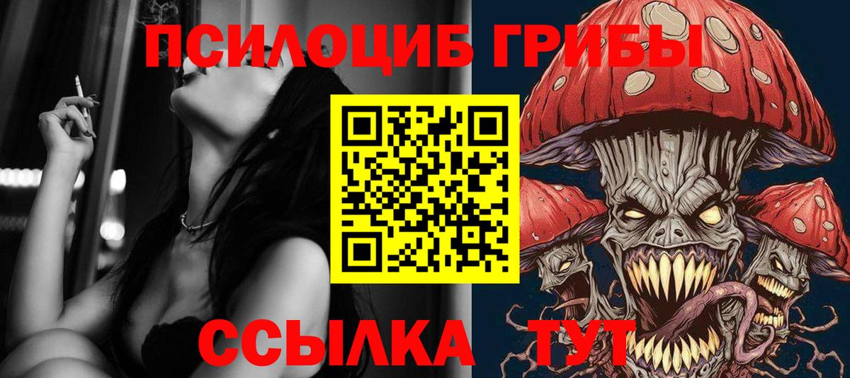 Вязьма  Псилоцибиновые грибы мухоморы  Вход с VPN 