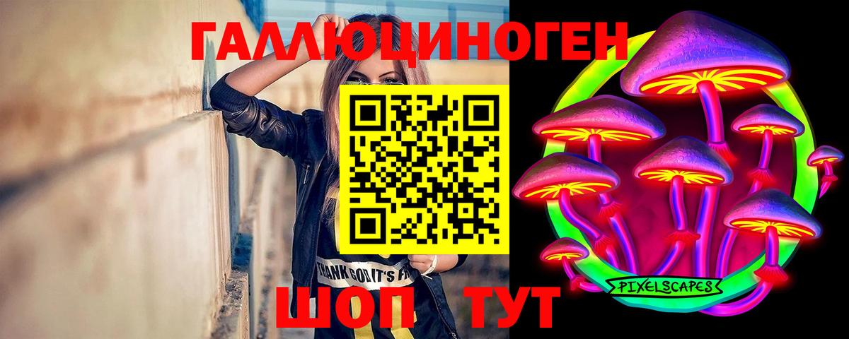 Галлюциногенные грибы Cubensis Вязьма